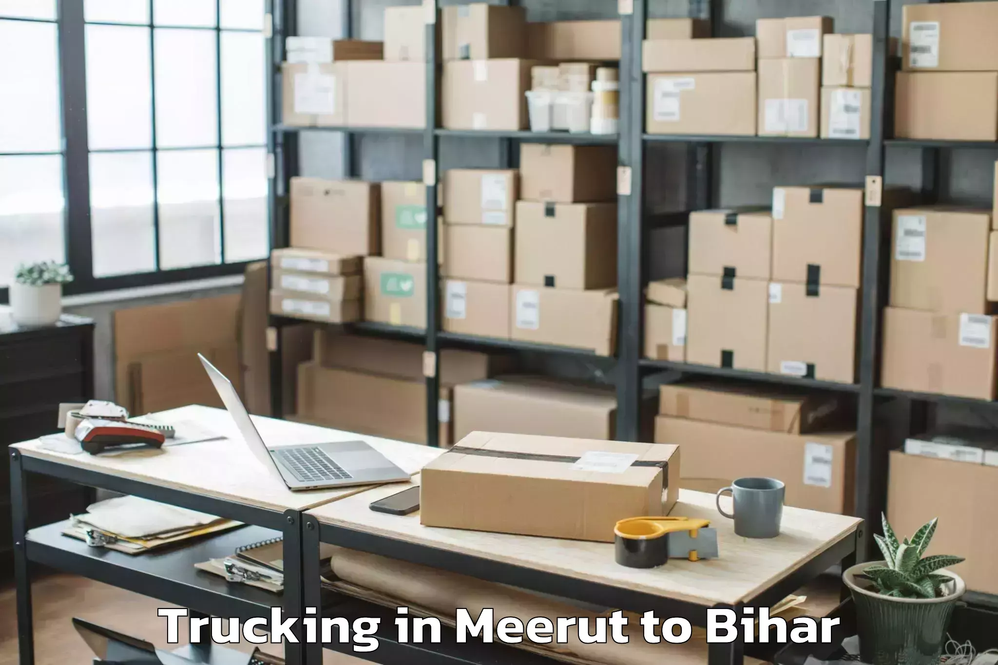 Quality Meerut to Sharfuddinpur Trucking